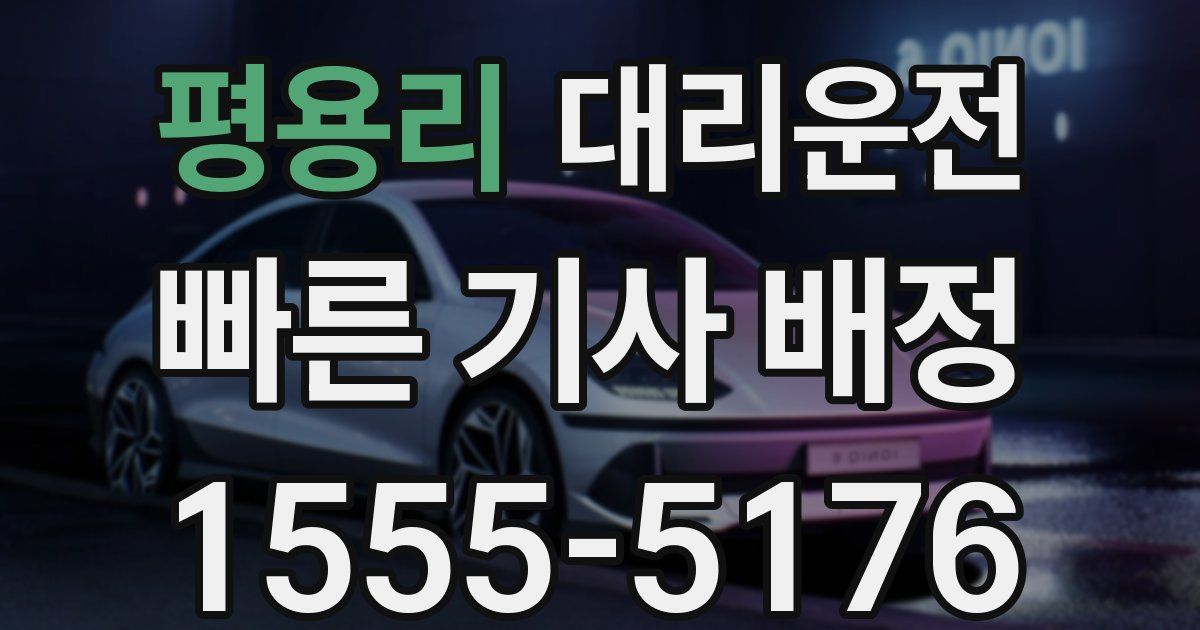일일대리기사