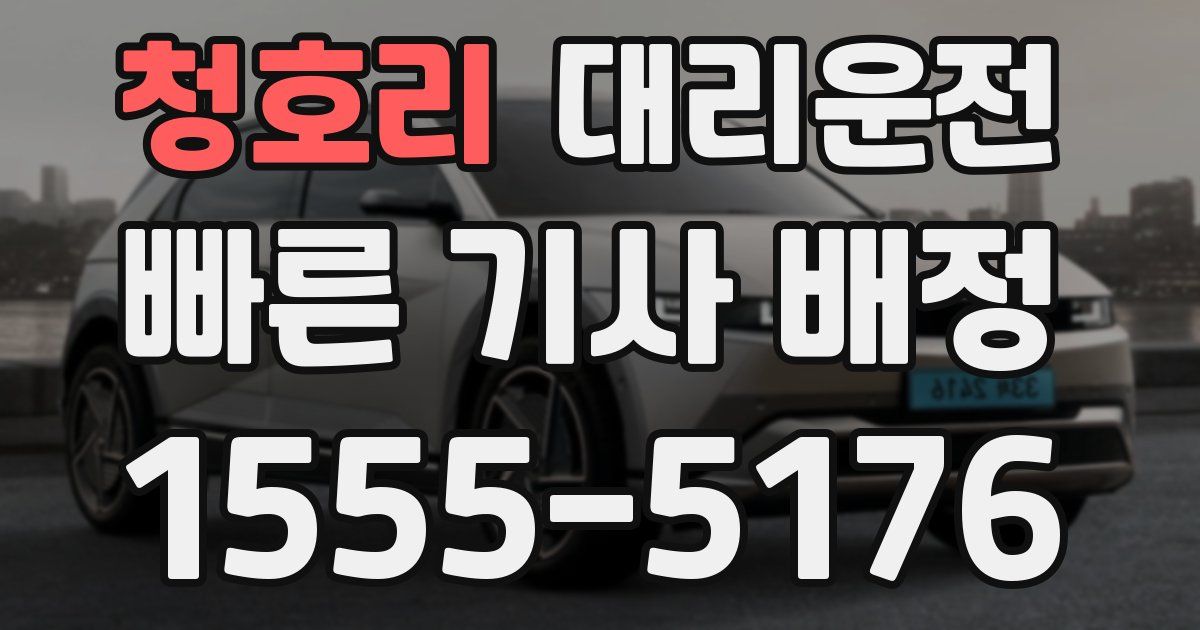 일일대리기사
