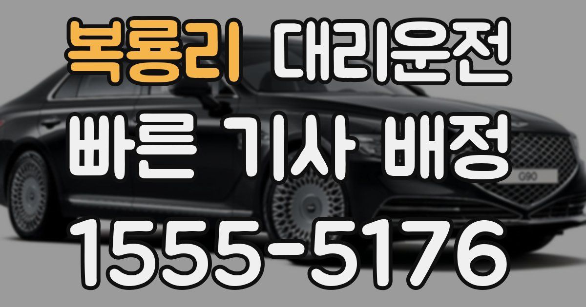 일일대리기사