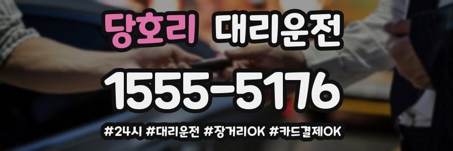 당호리 대리운전
