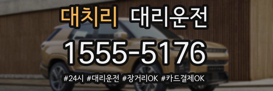 대치리 대리운전