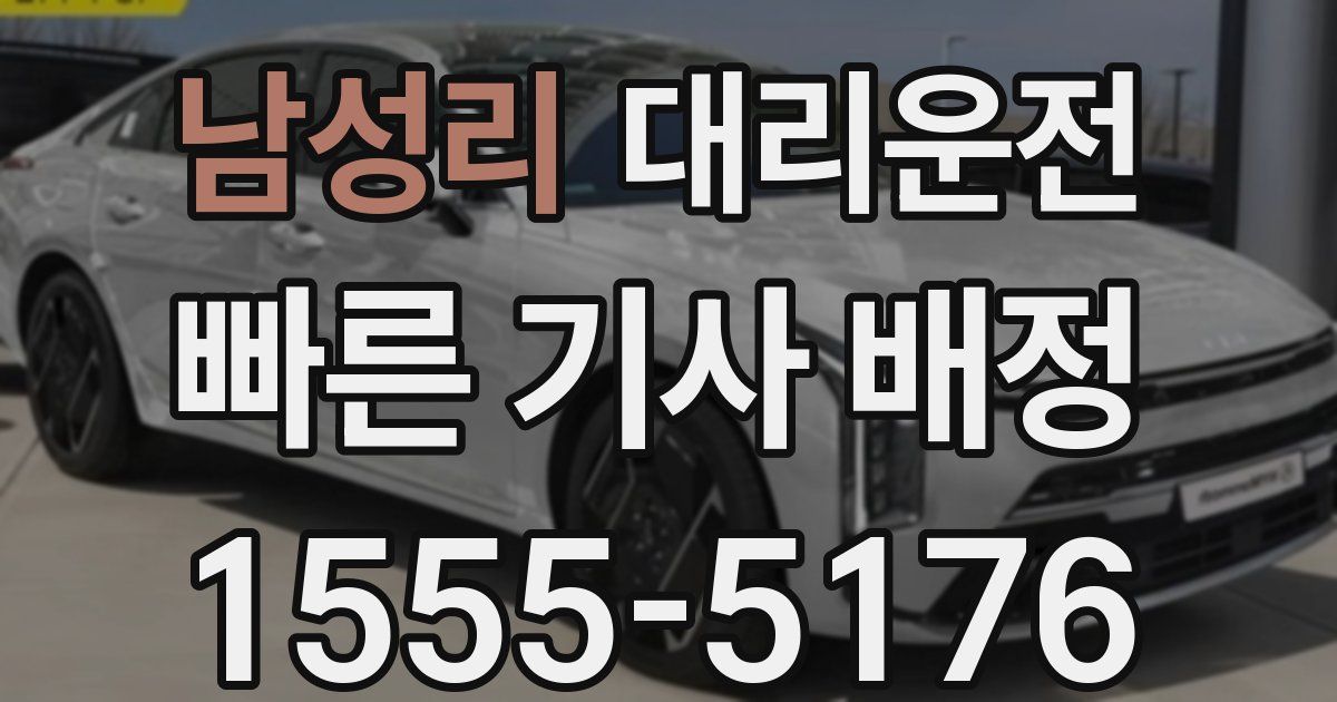 일일대리기사