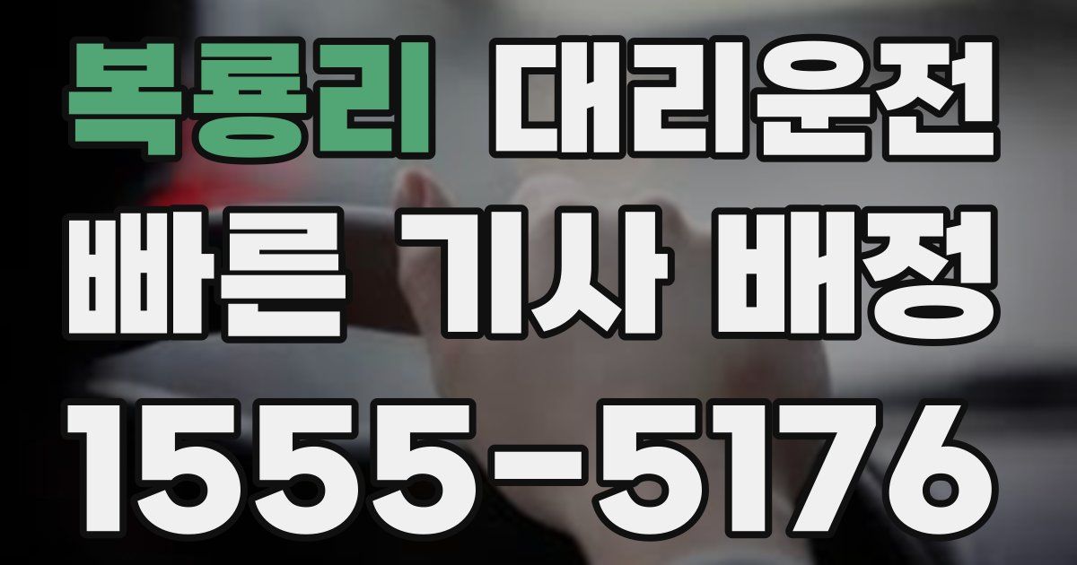 일일대리기사