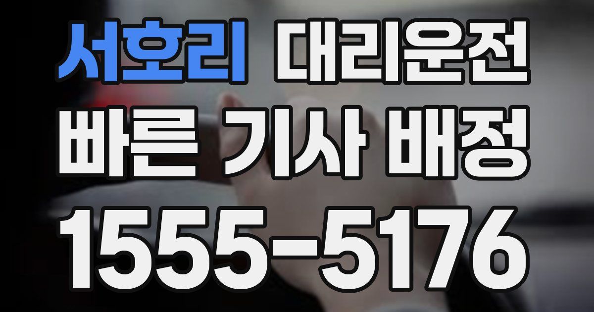 일일대리기사