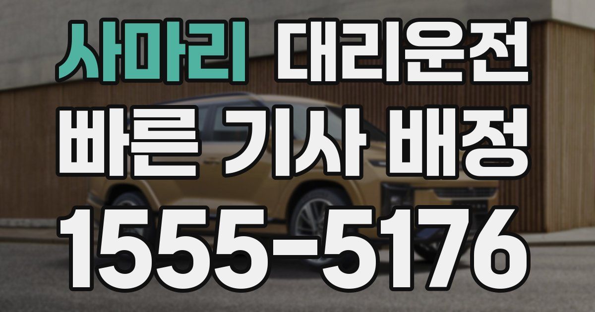 일일대리기사