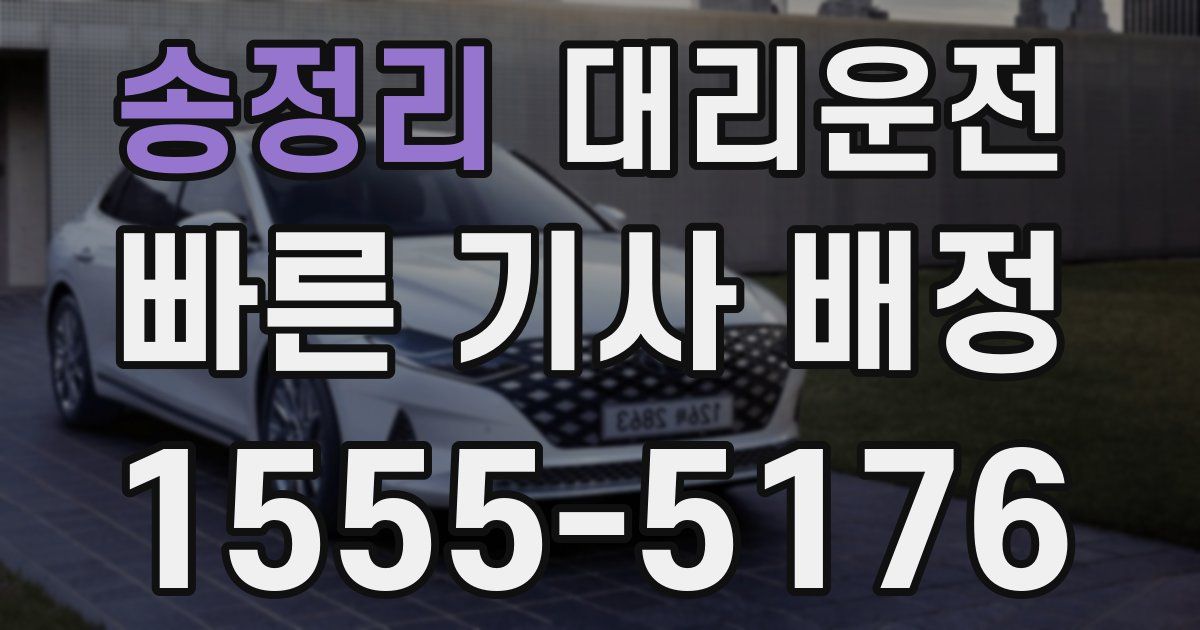 일일대리기사