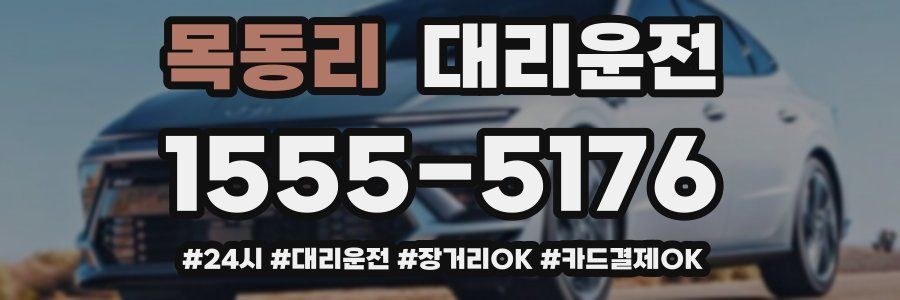 목동리 대리운전