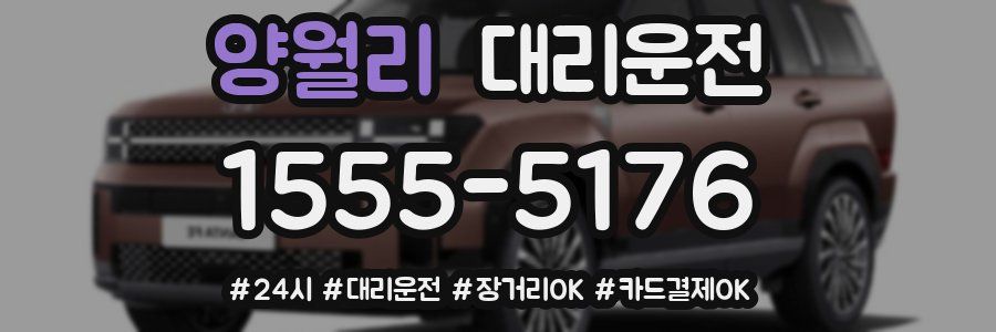 양월리 대리운전