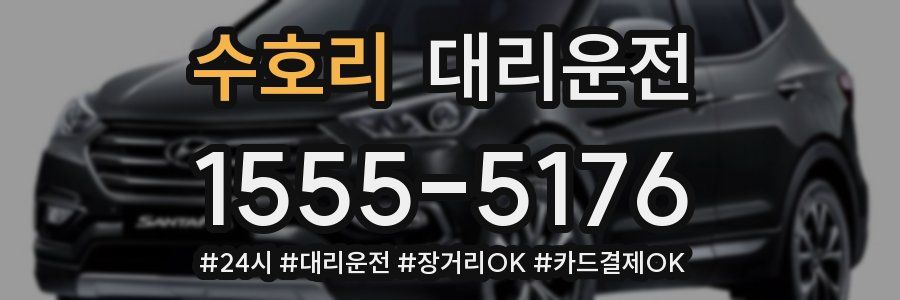 수호리 대리운전