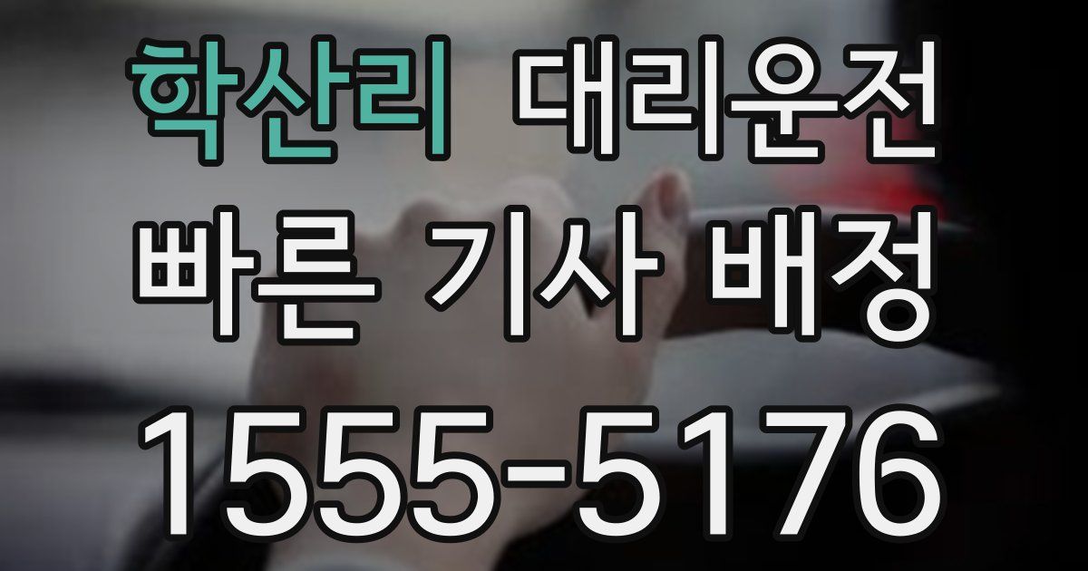 일일대리기사