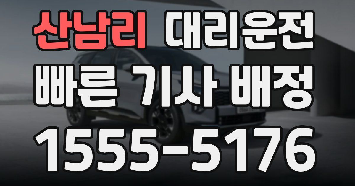 일일대리기사