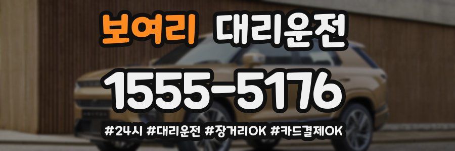 보여리 대리운전