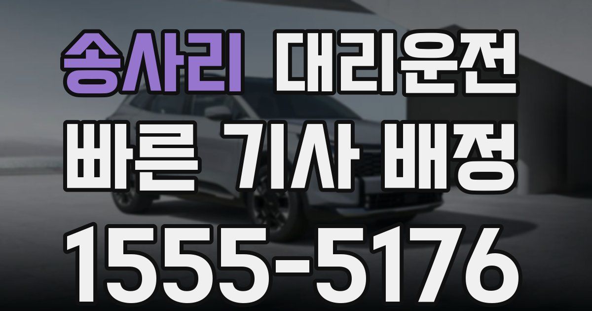 일일대리기사