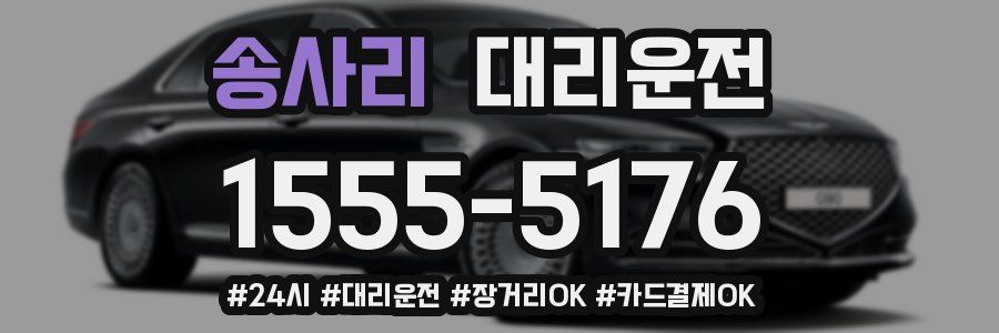 송사리 대리운전