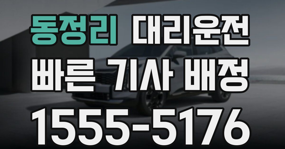 일일대리기사
