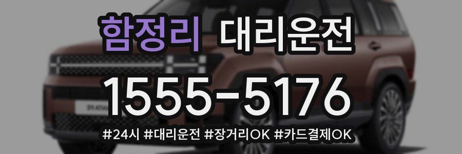 함정리 대리운전