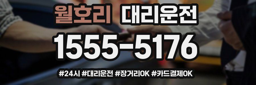 월호리 대리운전