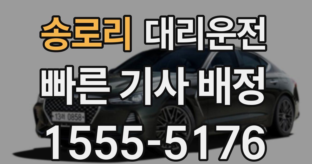 일일대리기사