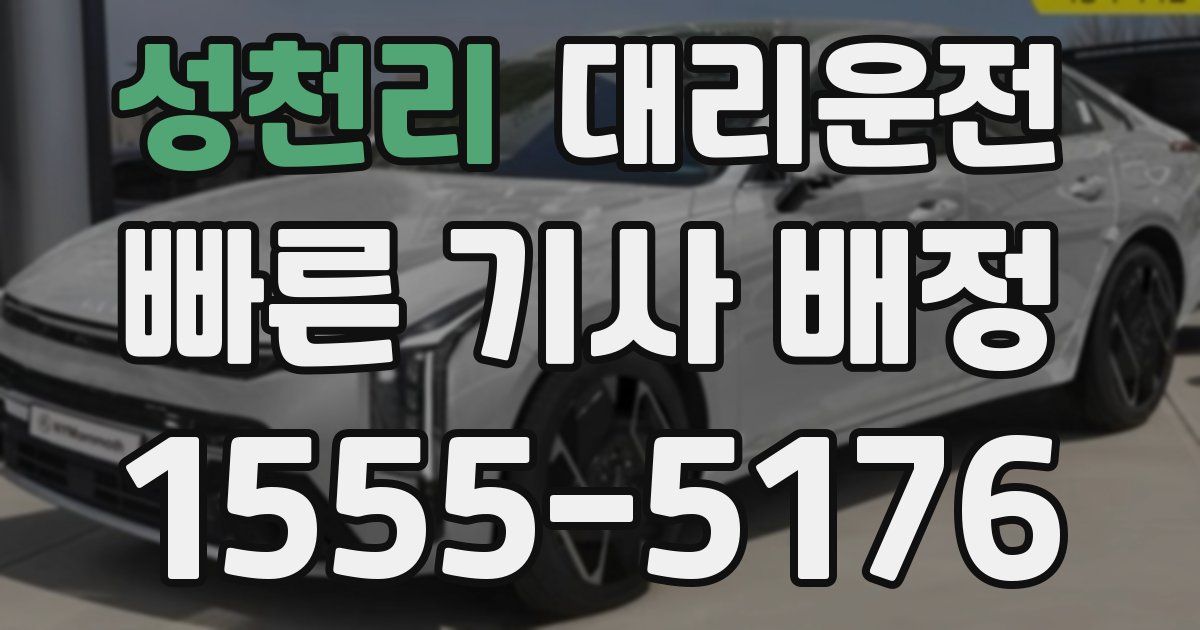 일일대리기사