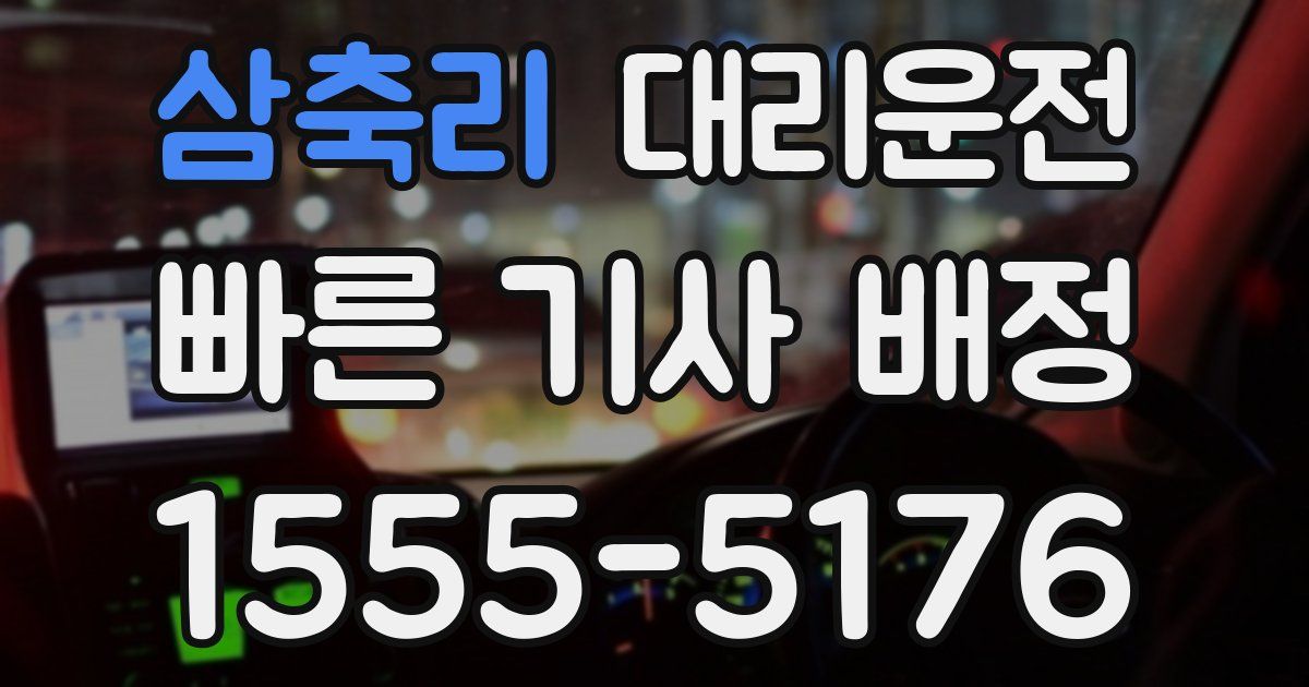 일일대리기사