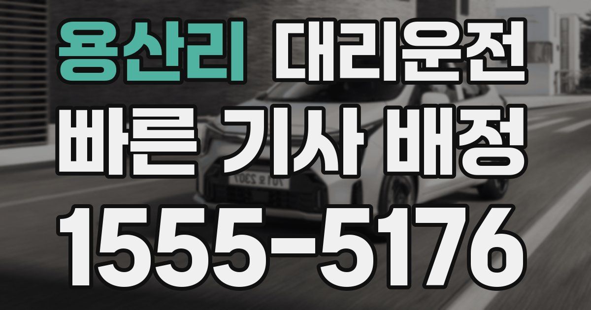 일일대리기사