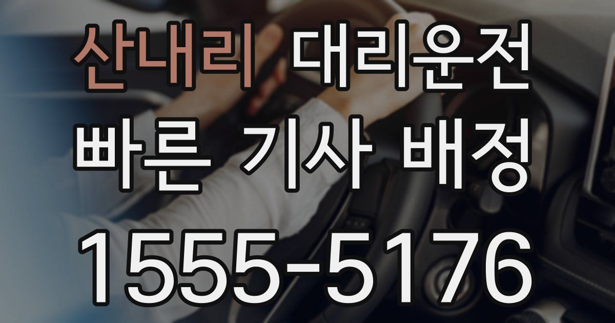 일일대리기사
