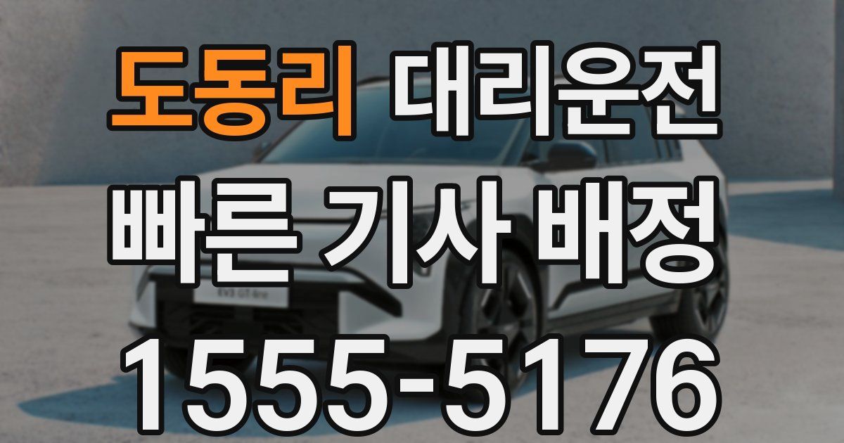 일일대리기사