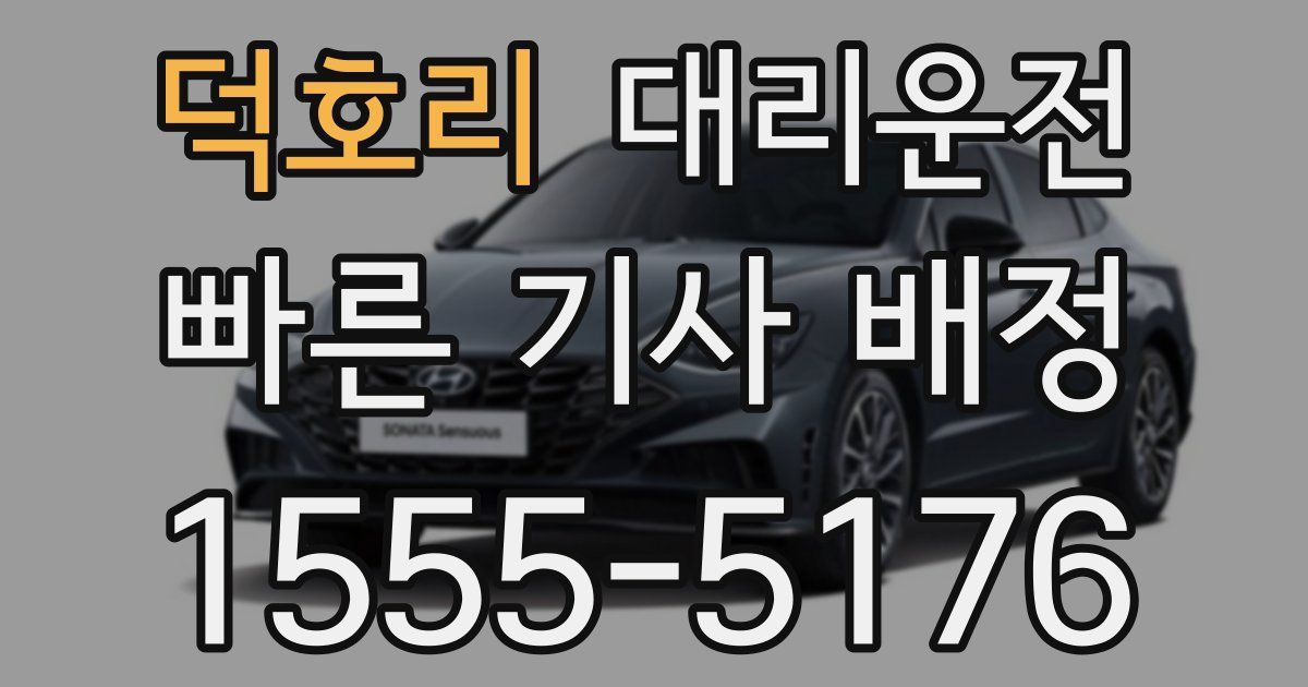 일일대리기사