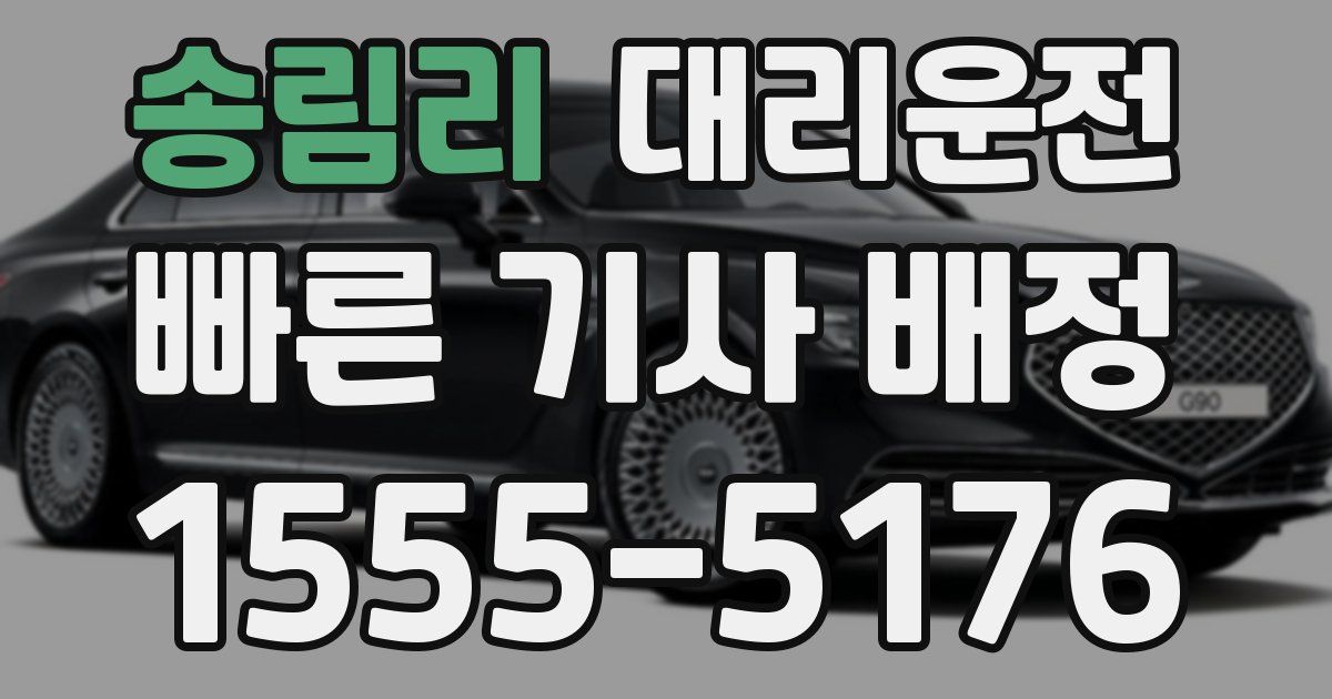 일일대리기사