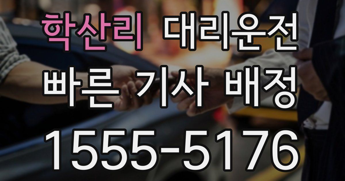 일일대리기사