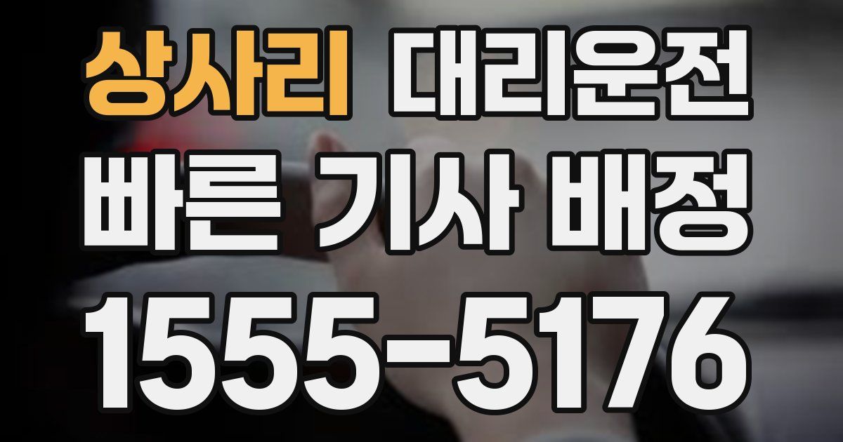 일일대리기사