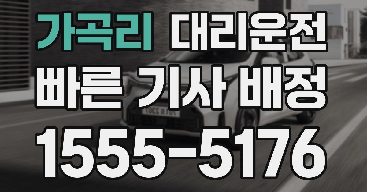 일일대리기사