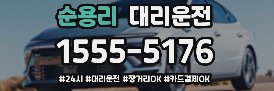 순용리 대리운전