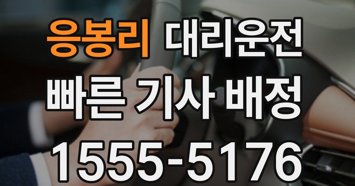 일일대리기사