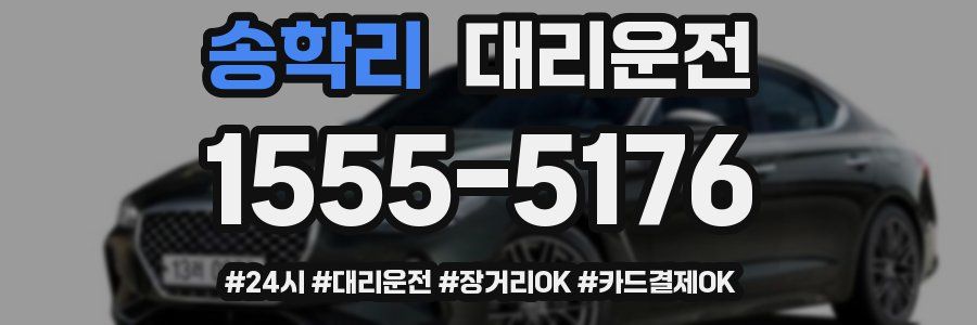 송학리 대리운전