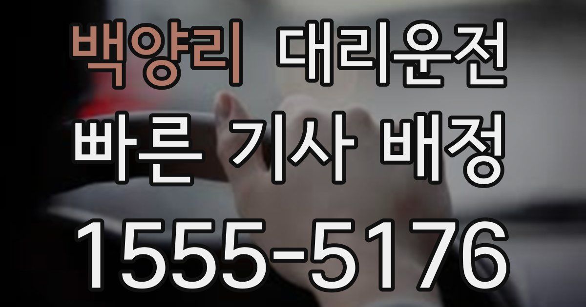 일일대리기사