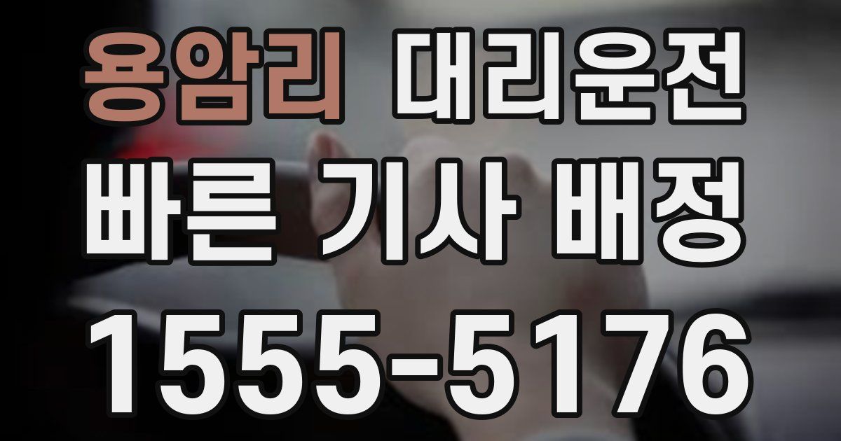일일대리기사