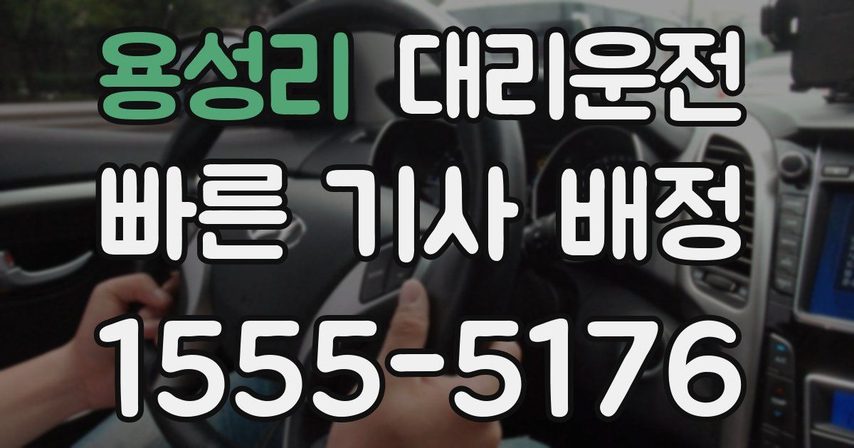 일일대리기사