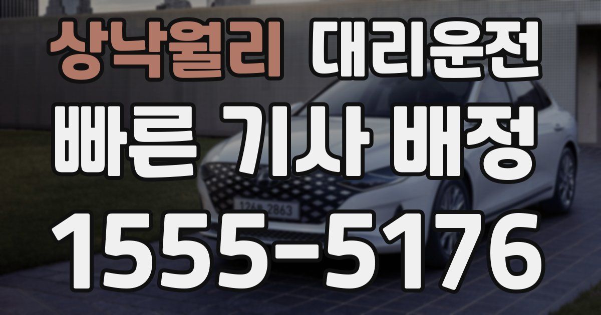 일일대리기사
