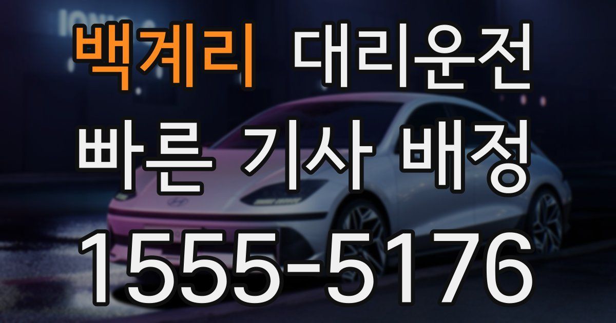 일일대리기사