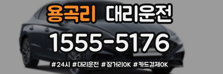 용곡리 대리운전