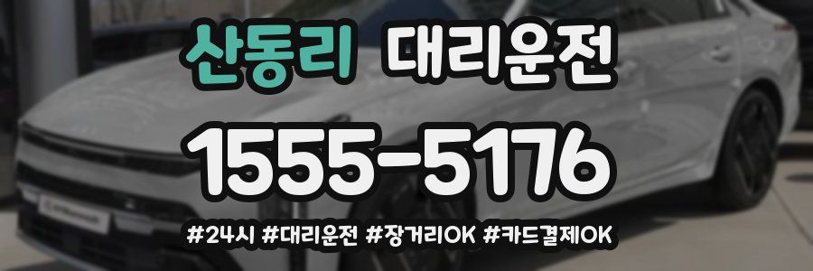 산동리 대리운전