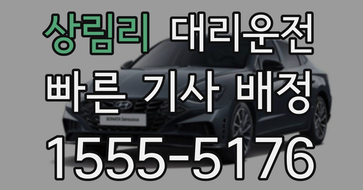 일일대리기사