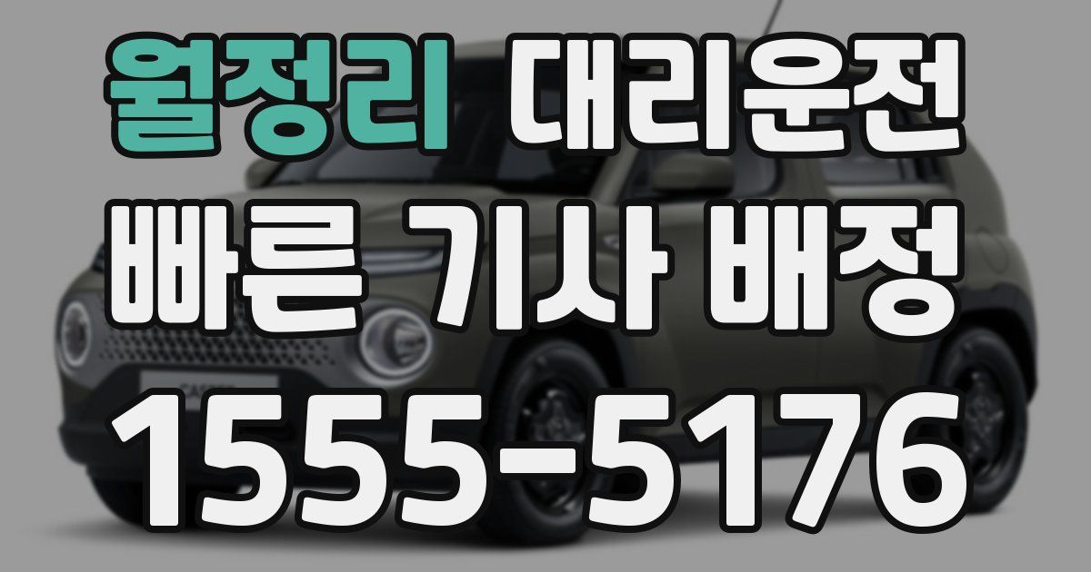 일일대리기사