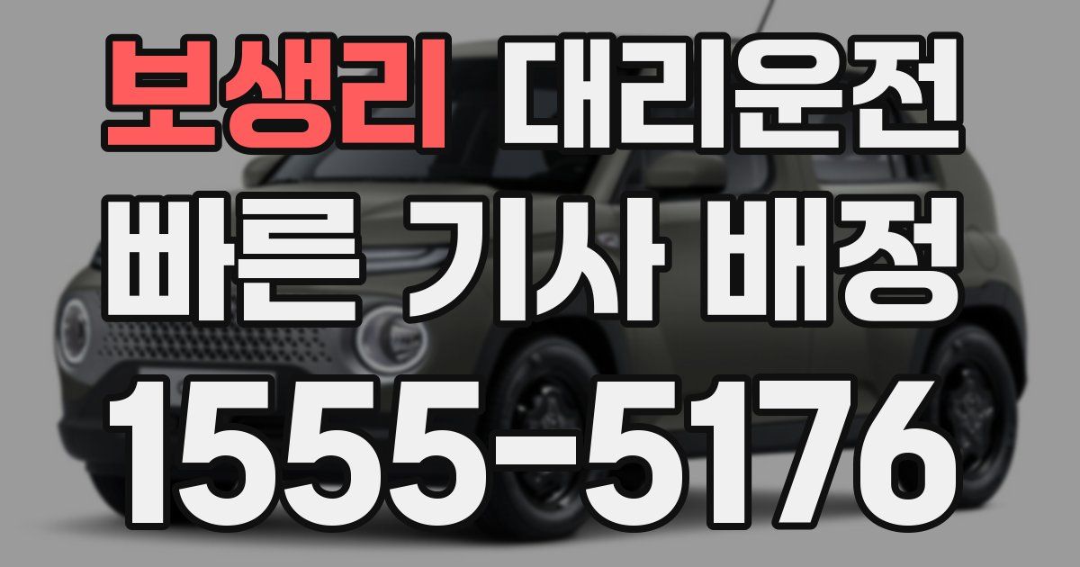 일일대리기사