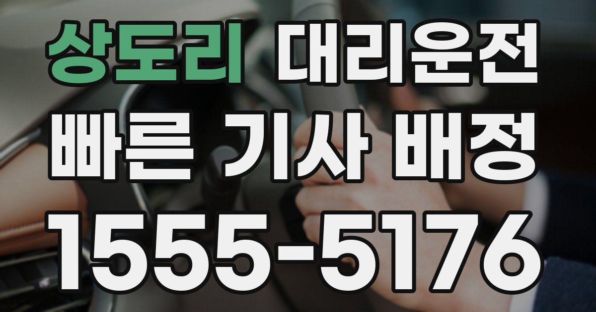 일일대리기사