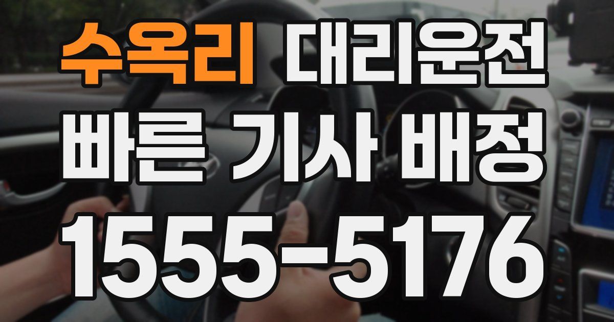 일일대리기사