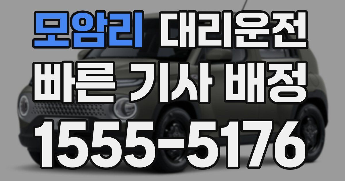 일일대리기사