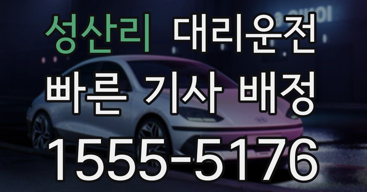 일일대리기사