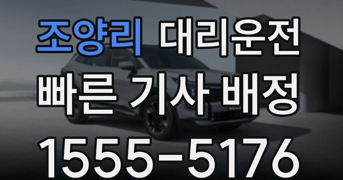 일일대리기사